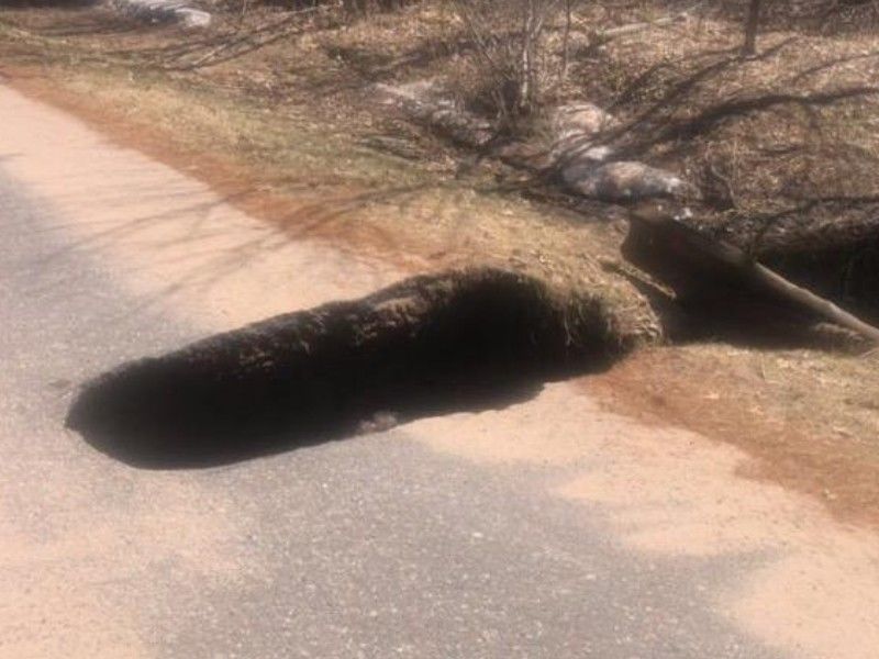 Shell Lake Road Closed Due To Washout: Chief