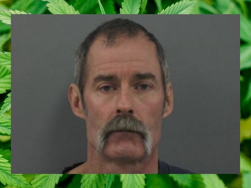 Court Sentences Man Charged In Marijuana Grow Bust