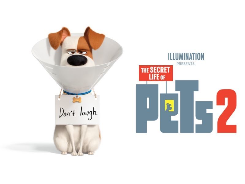 Movie Review: 'The Secret Life Of Pets 2'