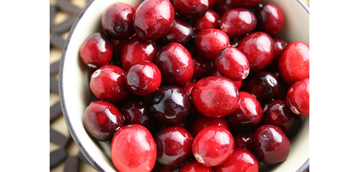 Tangy Cranberries Add Color and Flavor to Holiday Meals