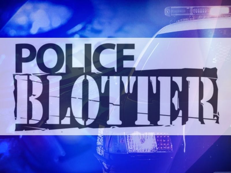 Shell Lake Police Department Monthly Blotter