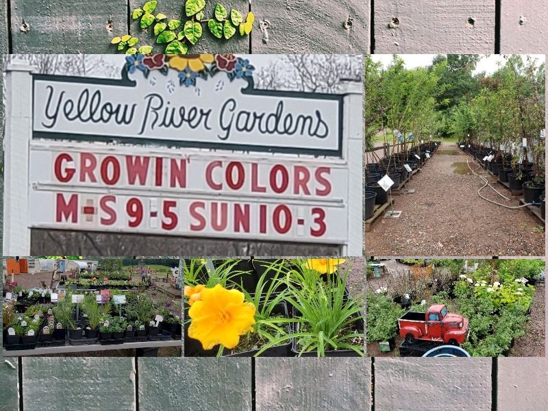 The Yellow River Gardens Have Restocked; Perennials Priced At 20% Off!