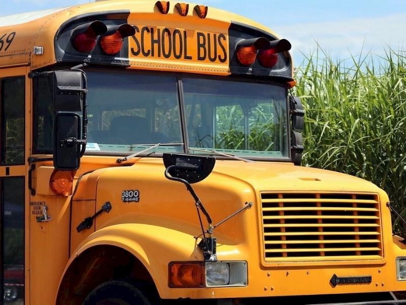 POLL: Should K-12 Public Schools Reopen?