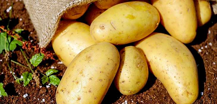 Nominations Accepted for WI Potato Industry Board