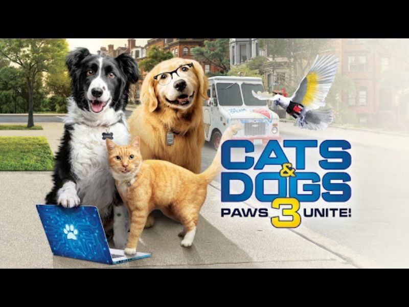 This Week's Movie Review: 'Cats & Dogs 3: Paws Unite'