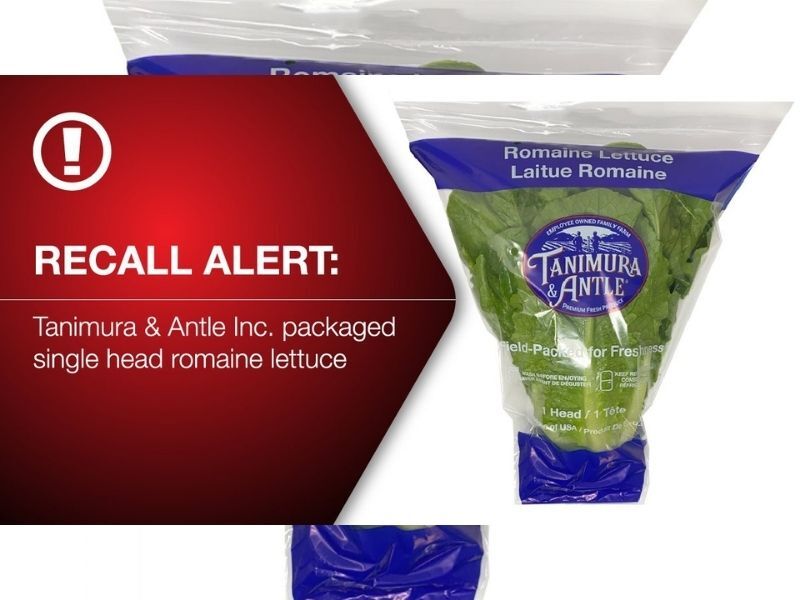 Romaine Lettuce Recall Due To Possible E. Coli Contamination