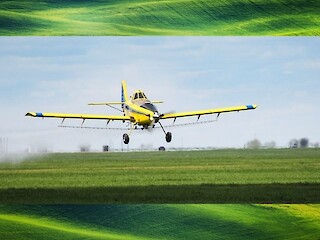 Gypsy Moth Aerial Spraying To Begin In May For Several Area Counties Article Image