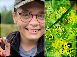 Natural Connections: Dan’s Dill Article Image