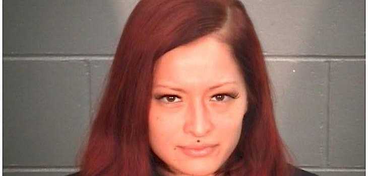 Theft of Firearm Leads to Felony Charges for Dancer
