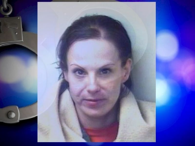 Woman Sentenced On Conviction From Polk County Drug Bust