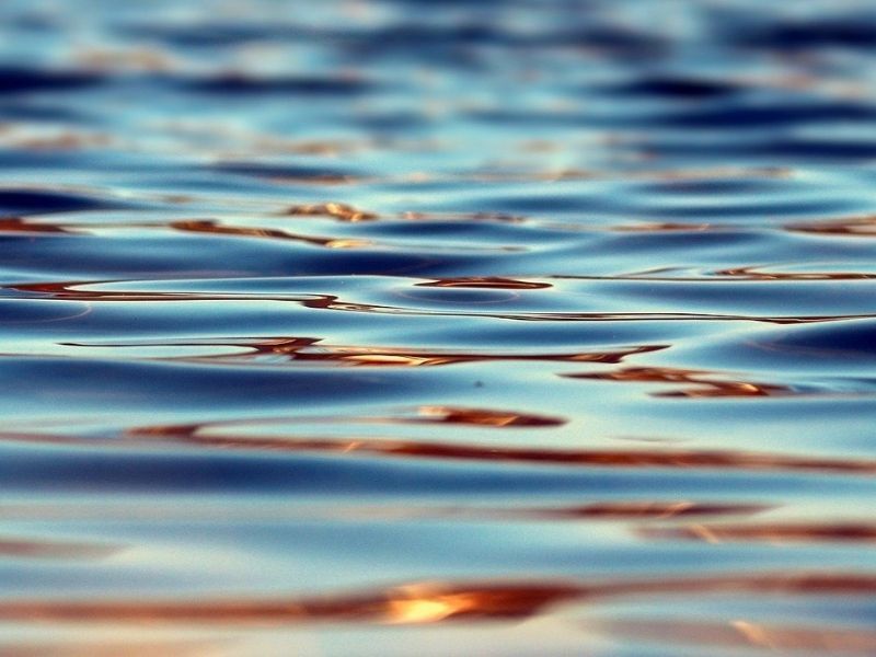 Updated Water Sampling Results For Toxic Algae In Loveless Lake