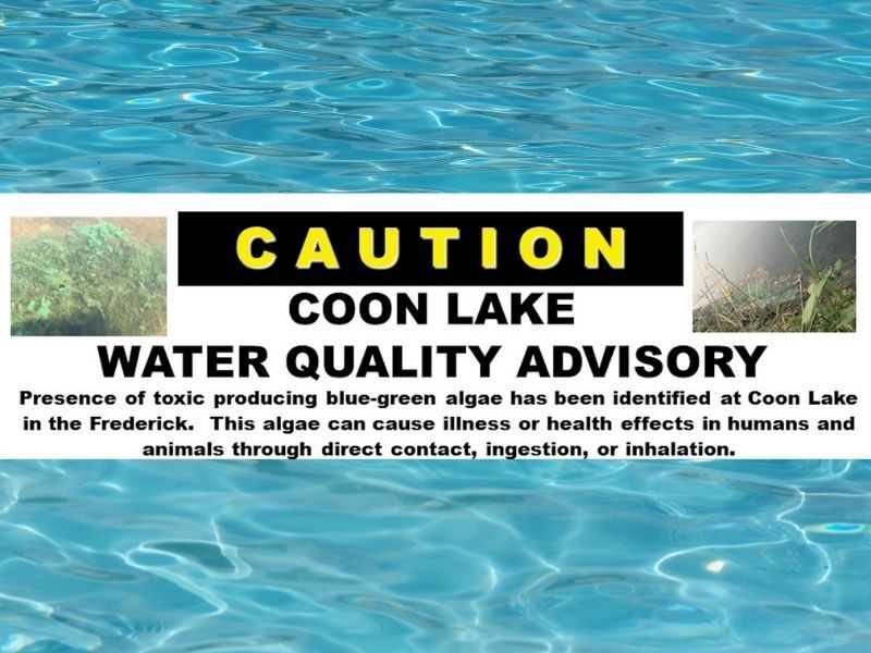 Potential Toxic Producing Blue-Green Algae Detected At Coon Lake