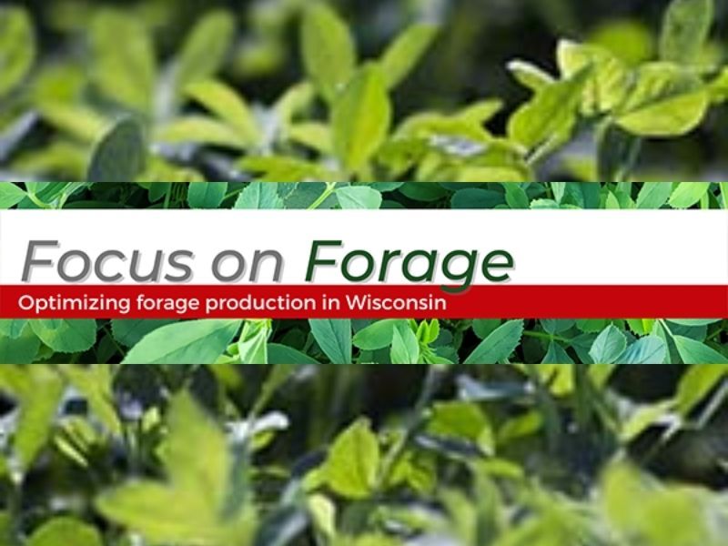 Focus On Forage Webinar Series Provides Information To Optimize Production In Wisconsin