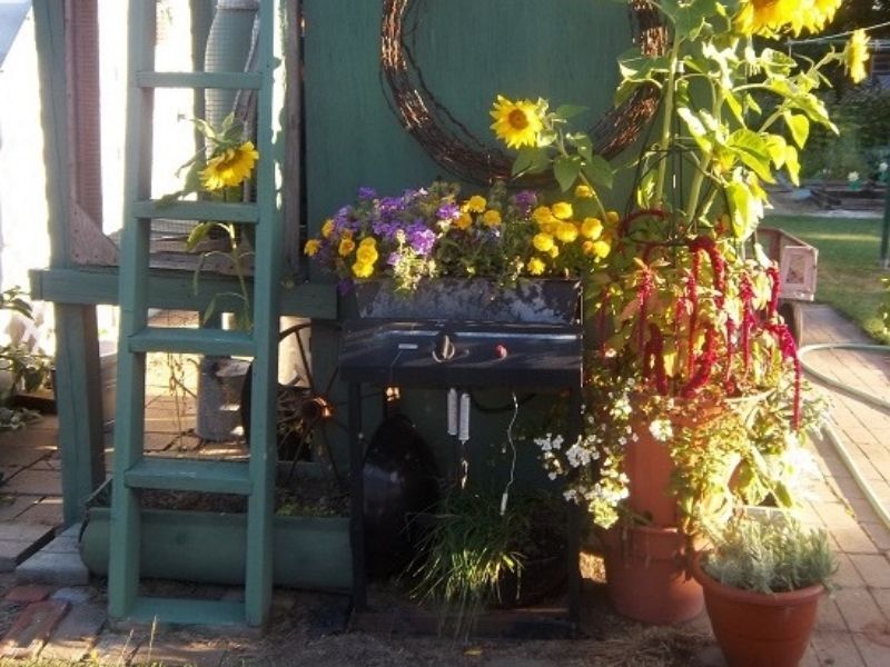 Small Space Gardening: Sun Patterns And Soil Types