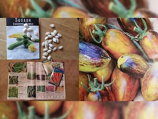 Small Space Gardening: Learning How To Read Seed Catalogs And Packets And The Difference Between Perennials And Annuals Article Image