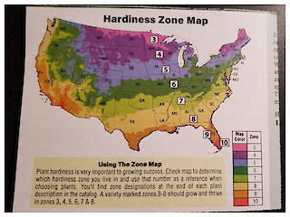 Small Space Gardening: Seed Starting Using Grow Lights, Heat Pads, And Toilet Paper Tubes Article Image