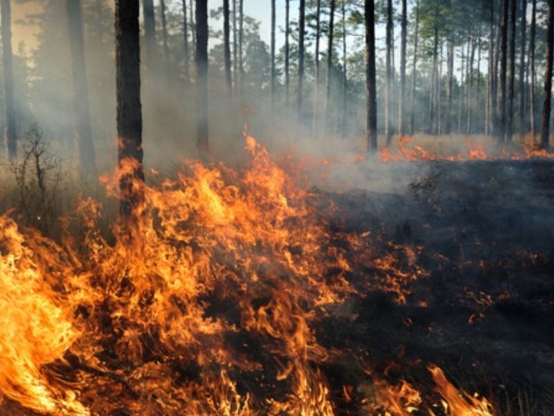 Be Fire Smart: Spring Is Wildfire Season In Wisconsin