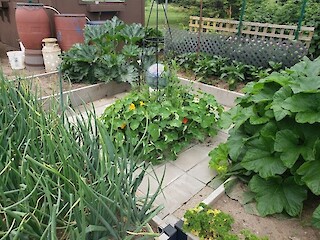 Small Space Gardening: Seed Starting, Determining How Much Of Each You'll Need, Soil Types Article Image