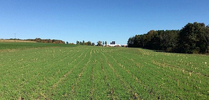 Barron County Cover Crop Cost Sharing