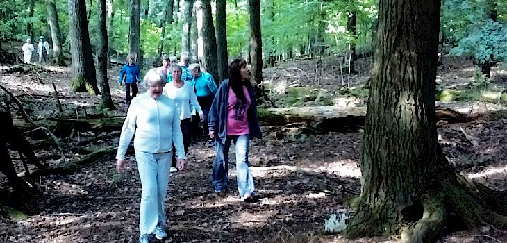 Natural Connections: Forest Bathing