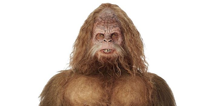 21 Things You Might Not Know About Me: Sasquatch