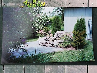 Small Space Gardening: Ponds And Water Features, Wild Flowers, And Garden Update Article Image