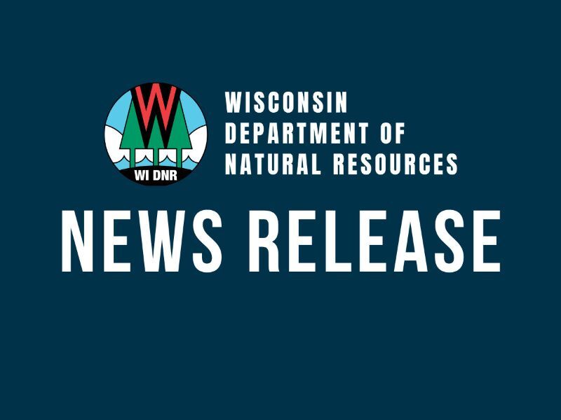 Wisconsin DNR Investigating Fish Kill In Isabelle Creek