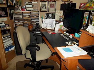 Transplanted Wisdom: Birds in General, Robins in Particular Article Image