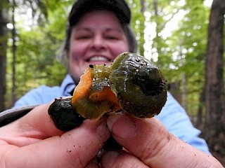 Natural Connections: Report from the NAMA Northwoods Foray Article Image