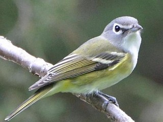 Autumn Welcomed with Unseasonably Warm Weather; Fall Colors Coming on Fast Article Image