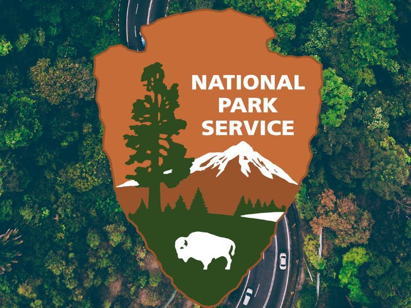 National Park Service To Conduct Brush Removal In St. Croix Falls