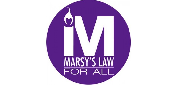 Marsy’s Law for Wisconsin: Bipartisan Legislation Passes in Senate