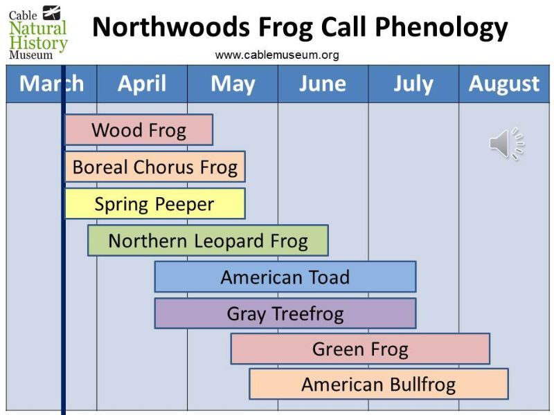 Natural Connections: Facebook Post And Frog Phenology