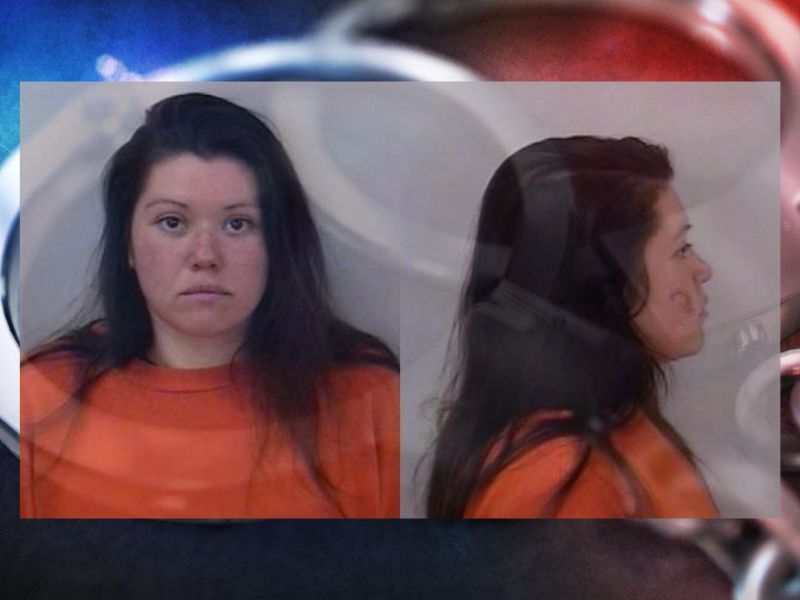 Insider: Traffic Stop Leads To Felony OWI Charges For Woman; 3 Children Were In Vehicle