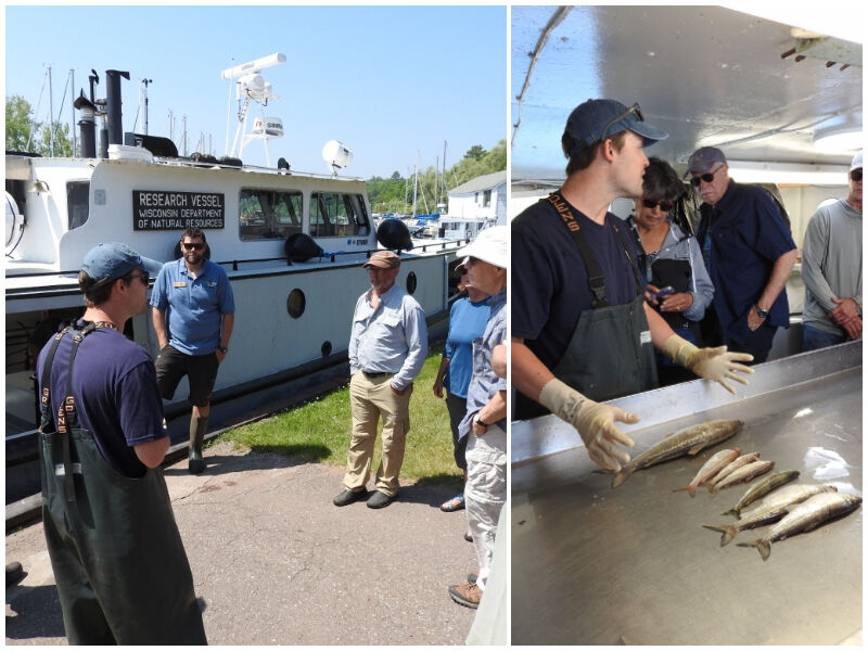 Natural Connections: The Lake Superior Fishery In Wisconsin Waters