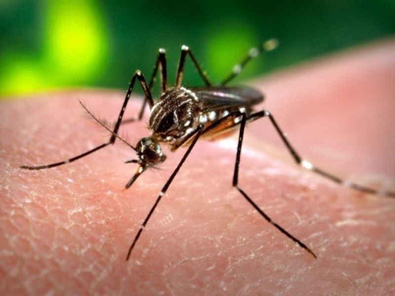 First Human Case Of West Nile Virus Confirmed In Wisconsin