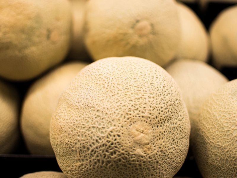 Cantaloupes Linked To Salmonella Infections Sold In Wisconsin