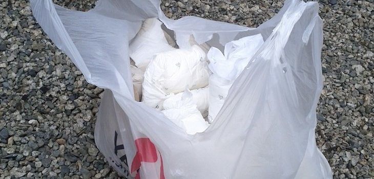‘Diaper Bandit’ Leaving Waste Trail in Burnett, Polk Counties