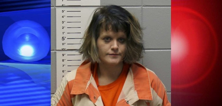 Court Approves Deferred Agreement for Woman Facing Meth Charges in Washburn Co.