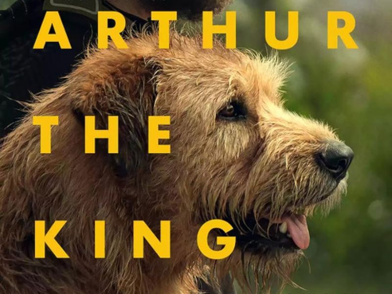 Movie Review: 'Arthur The King'