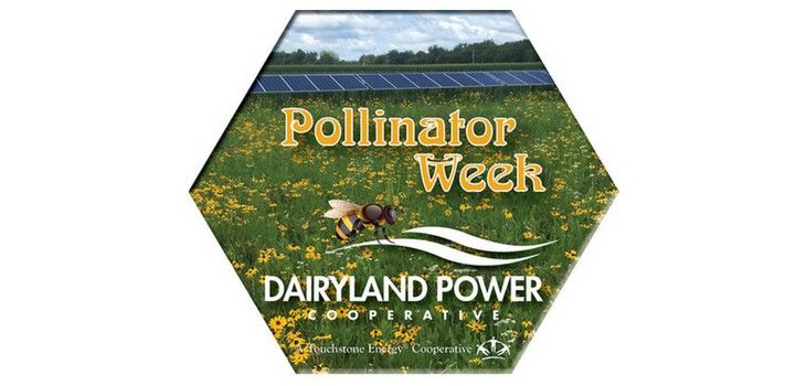 National Pollinator Week is June 18-24