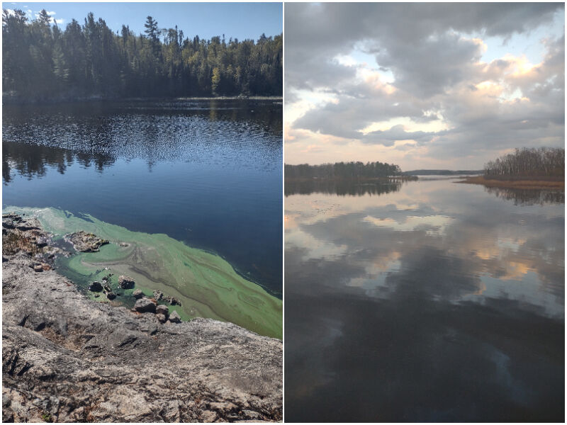 Natural Connections: Cyanobacteria Then And Now