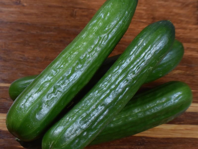 Salmonella Outbreak In Wisconsin Linked To Contaminated Cucumbers