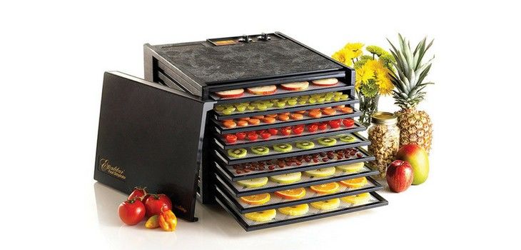 Deal of the Day: Save 45% on Excalibur 9-Tray Electric Food Dehydrator on Amazon!