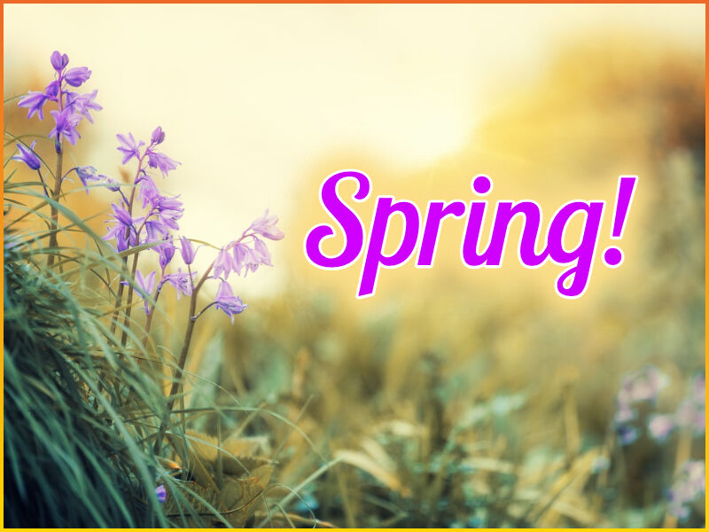 Spring 2025 Officially Arrives This Week