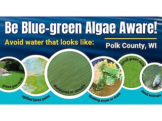 Polk County Issues Water Advisory For Big Butternut Lake Due To Blue-Green Algae Article Image