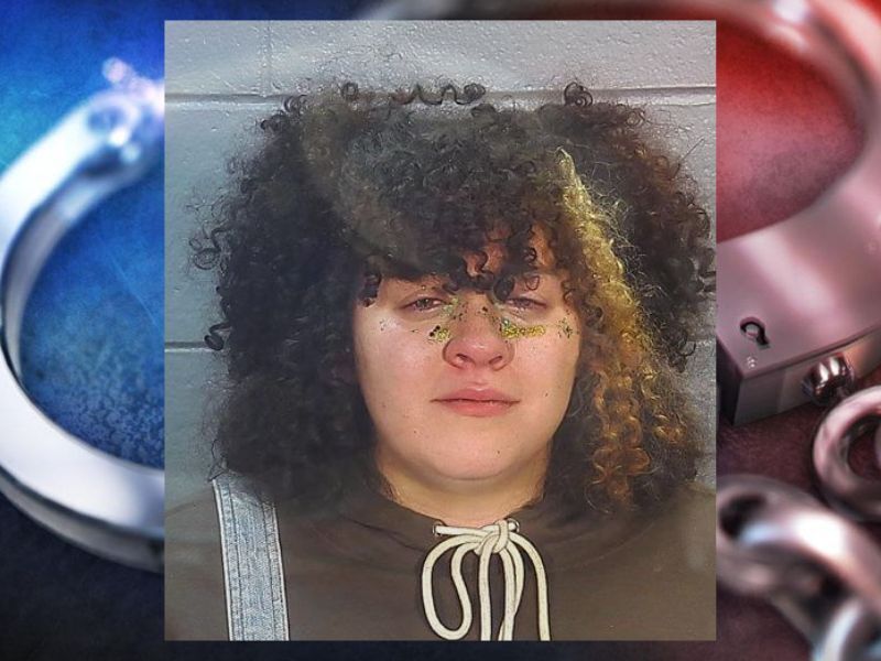 Insider: Court Accepts Plea Deal In Vehicle Theft, OWI Case