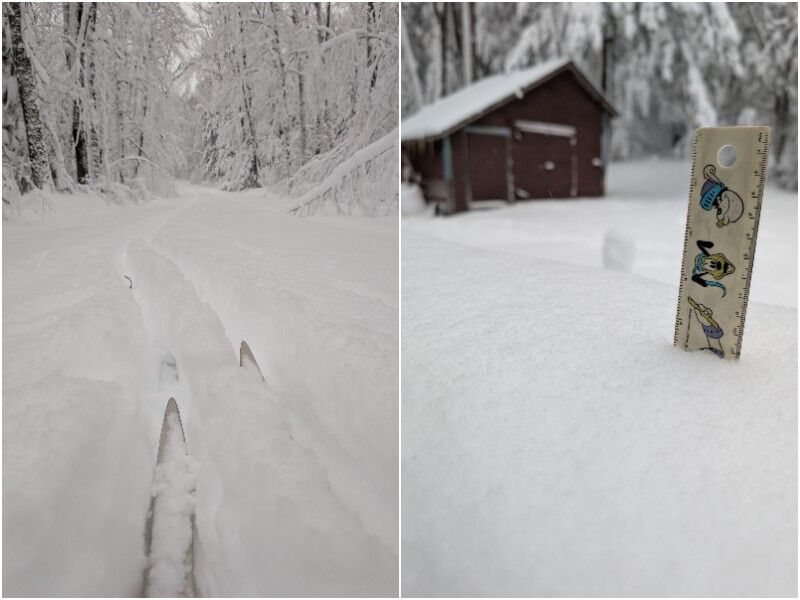 Natural Connections: The Subnivean Zone Returns!