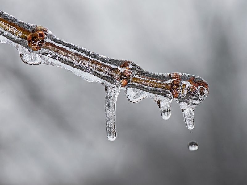 Bitter Cold Expected To Grip Northwest Wisconsin; Closures Likely