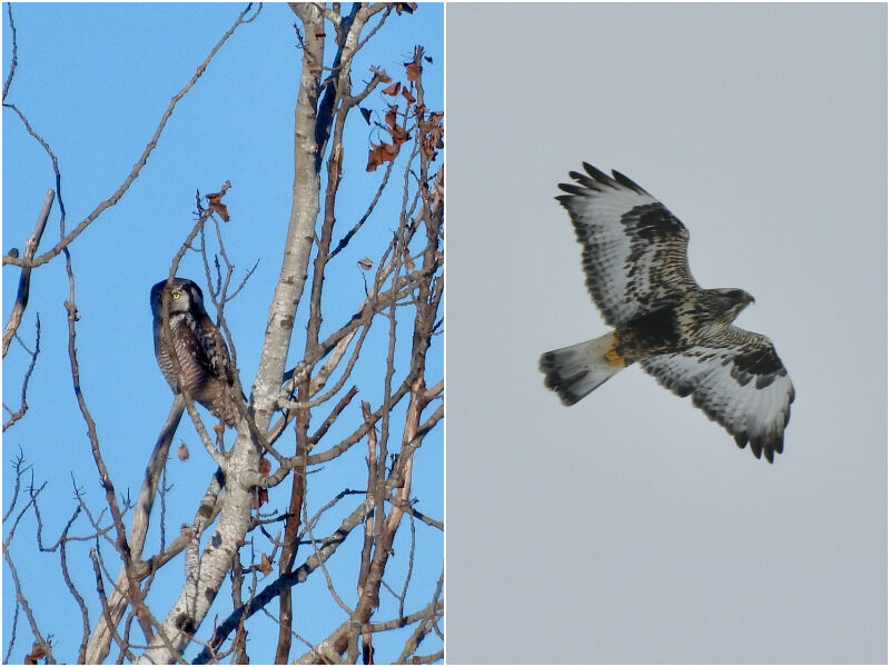 Natural Connections: An Evening In The Bog